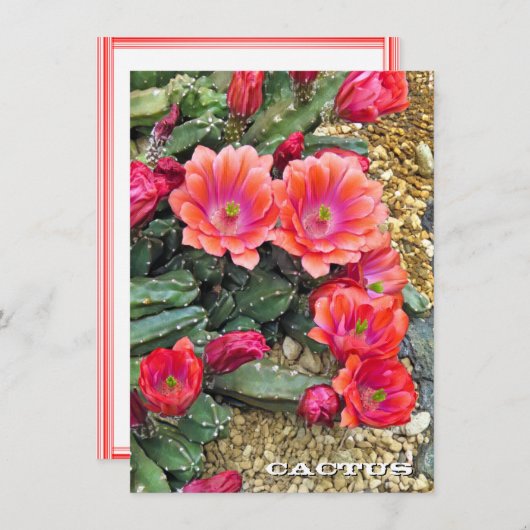 Cactus: Flat Card (Voorkant / Achterkant)