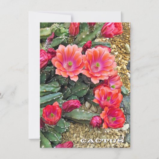 Cactus: Flat Card (Voorkant)