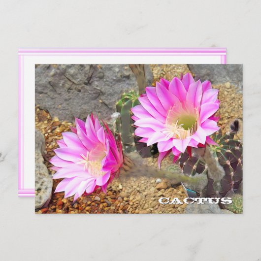 Cactus: Flat Card (Voorkant / Achterkant)
