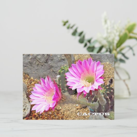 Cactus: Flat Card (Staand voorkant)