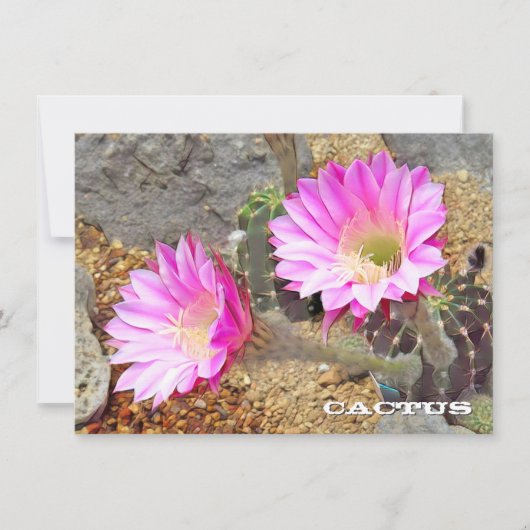 Cactus: Flat Card (Voorkant)
