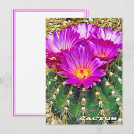 Cactus: Flat Card