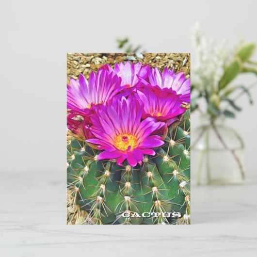 Cactus: Flat Card (Staand voorkant)