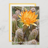 Cactus: Flat Card (Voorkant / Achterkant)