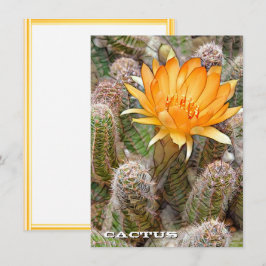 Cactus: Flat Card