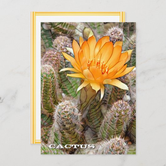 Cactus: Flat Card (Voorkant / Achterkant)