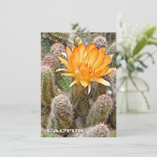 Cactus: Flat Card (Staand voorkant)