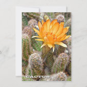 Cactus: Flat Card (Voorkant)