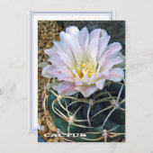 Cactus: Flat Card (Voorkant / Achterkant)