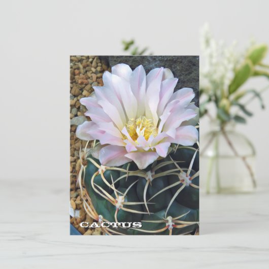 Cactus: Flat Card (Staand voorkant)