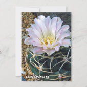 Cactus: Flat Card (Voorkant)