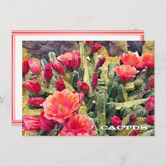 Cactus: Flat Card (Voorkant / Achterkant)