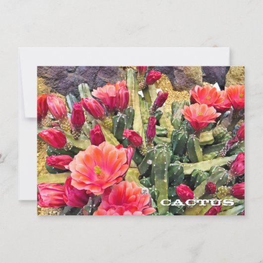 Cactus: Flat Card (Voorkant)