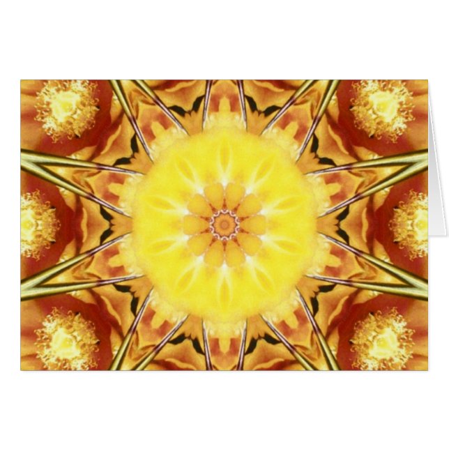 Cactus Flower (Voorkant Horizontaal)