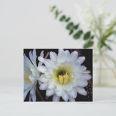 Cactus Flower 4355 Briefkaart (Staand voorkant)