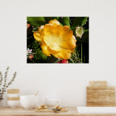 Cactus Flower Blooms in Oranje Poster (Keuken)