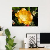 Cactus Flower Blooms in Oranje Poster (Thuiskantoor)