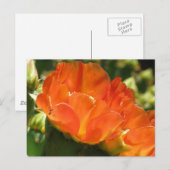 Cactus Flower Briefkaart (Voorkant / Achterkant)