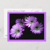 Cactus Flower Briefkaart (Voorkant / Achterkant)