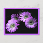 Cactus Flower Briefkaart (Voorkant)