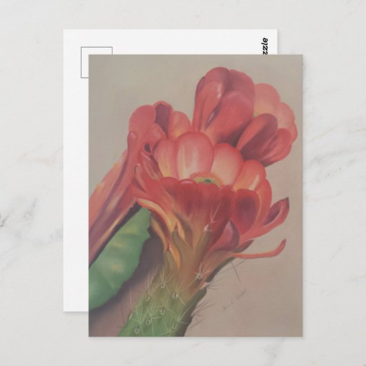 Cactus Flower Briefkaart (Voorkant / Achterkant)