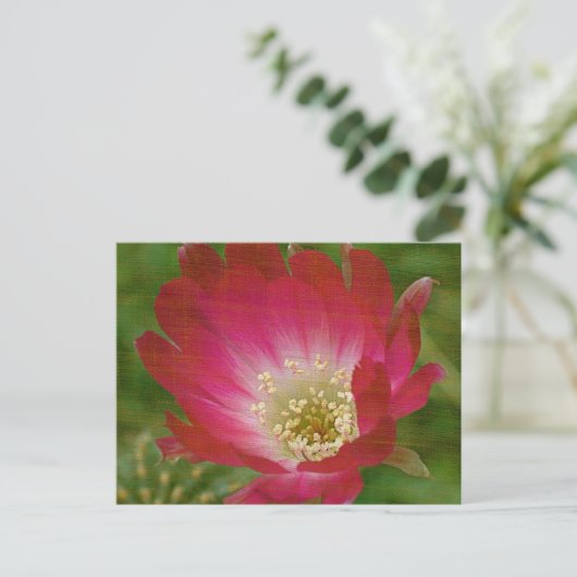 Cactus Flower Briefkaart (Staand voorkant)