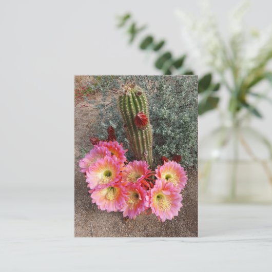 Cactus Flower Briefkaart (Staand voorkant)