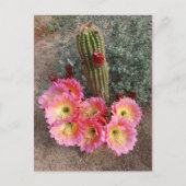 Cactus Flower Briefkaart (Voorkant)