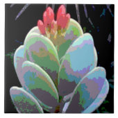 Cactus Flower Buds Tegeltje (Voorkant)