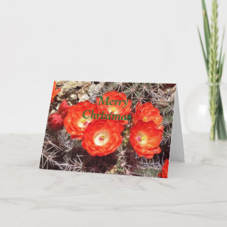 Cactus Flower Christmas Card Feestdagen Kaart