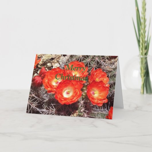 Cactus Flower Christmas Card Feestdagen Kaart (Voorkant)