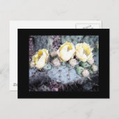 Cactus Flower Digital Ink Briefkaart (Voorkant / Achterkant)