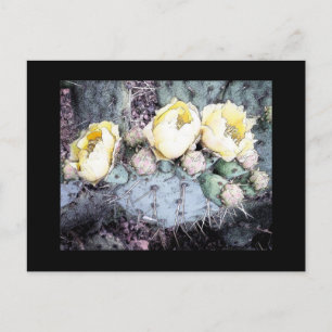 Cactus Flower Digital Ink Briefkaart