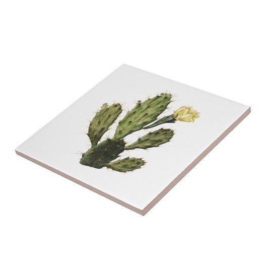 Cactus Flower  Drawing Ceramic Tegel Tegeltje (Zijkant)