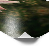 Cactus Flower Foto Afdruk (Hoek)