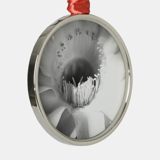 Cactus Flower in Black and White #succulent Metalen Ornament (Rechts)