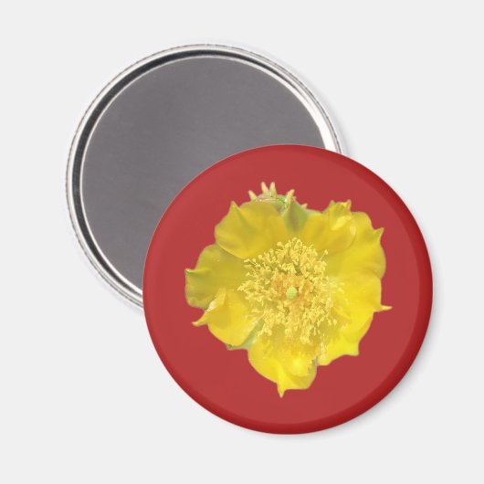 Cactus Flower Magneet (Voorkant / Achterkant)