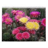 Cactus Flower Paint Kalender (Hoes)