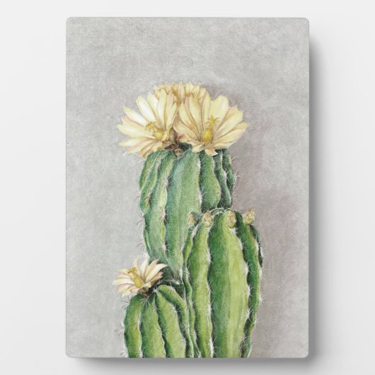 Cactus Flower Painting Fotoplaat (voorkant)
