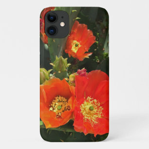 Cactus Flower Photo Bright Red Bloom Southwest Case-Mate iPhone Case