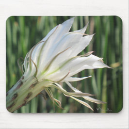 Cactus Flower Photo Mousepad Muismat