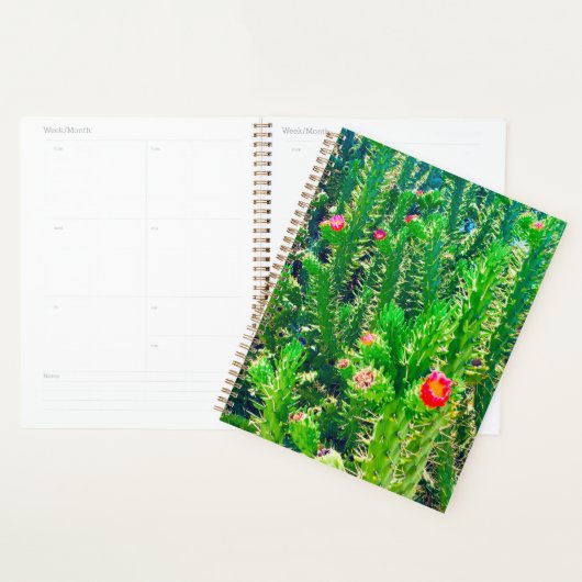 Cactus Flower Planner (Display)
