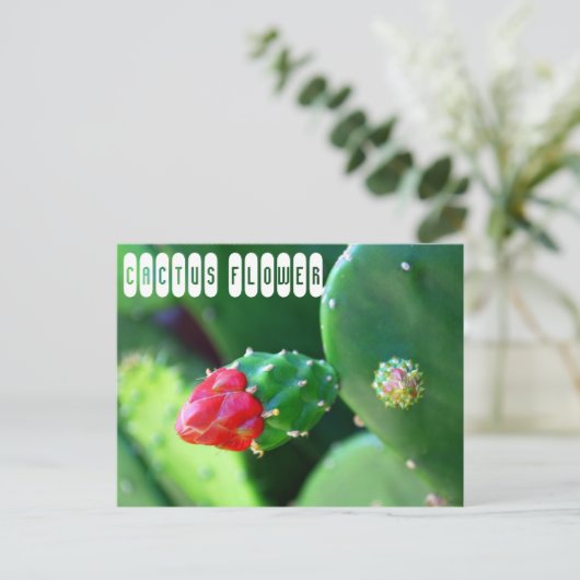Cactus Flower Plant Briefkaart (Staand voorkant)