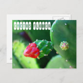 Cactus Flower Plant Briefkaart (Voorkant / Achterkant)