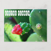 Cactus Flower Plant Briefkaart (Voorkant)