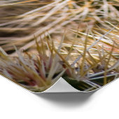 Cactus Flower Poster (Hoek)