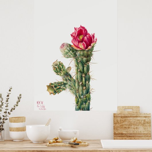 Cactus Flower Poster (Keuken)