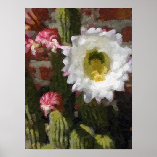 Cactus Flower Poster (Voorkant)