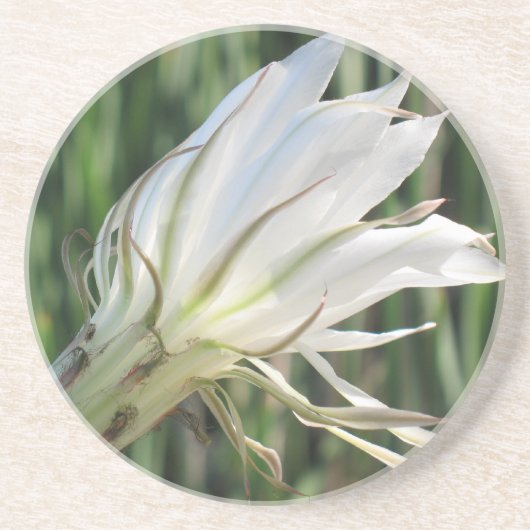 Cactus Flower Sandstone Onderzetters (Voorkant)