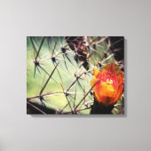 Cactus Flower Wrapped Canvas Afdruk (Voorkant)